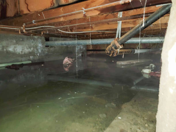 Best Commercial water damage restoration  in Brown Deer, WI