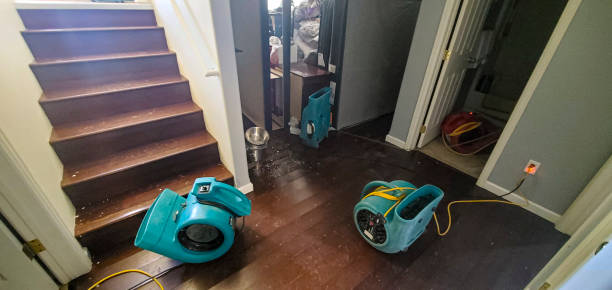 Best Fire Damage Restoration  in Brown Deer, WI