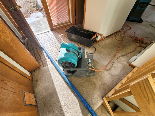 Best Residential water damage restoration  in Brown Deer, WI