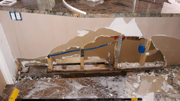 Best Local water damage restoration  in Brown Deer, WI