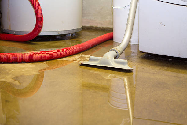 Best Flooded house restoration  in Brown Deer, WI
