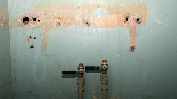 Best Water damage cleanup near me  in Brown Deer, WI