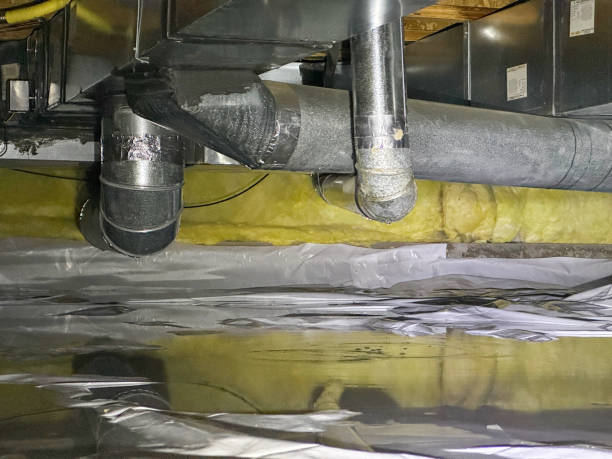 Best Mold removal after water damage  in Brown Deer, WI