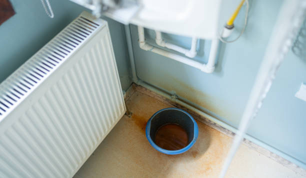 Best Emergency water damage restoration  in Brown Deer, WI
