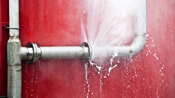 Best Water damage restoration experts  in Brown Deer, WI